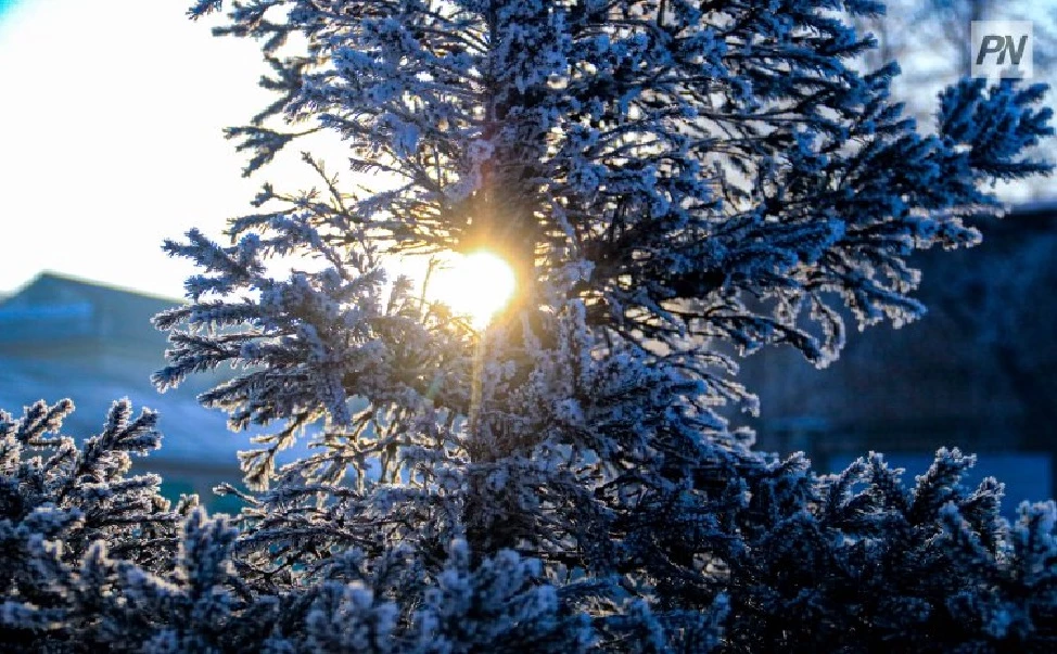 Туман и морозы: синоптики о погоде в ЗКО 13 ноября